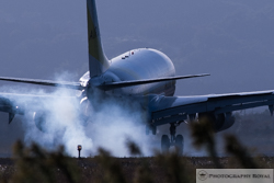ミノルタ600ｍｍF4の作例｜仙台市　写真撮影のロイヤル
